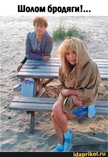 Шолом бродяги’… – АйДаПрикол