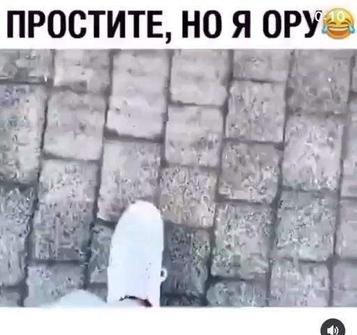 💫Funny video💫