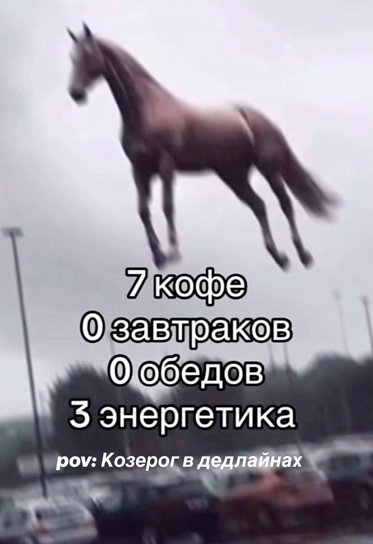 pov: Козерог в дедлайнах