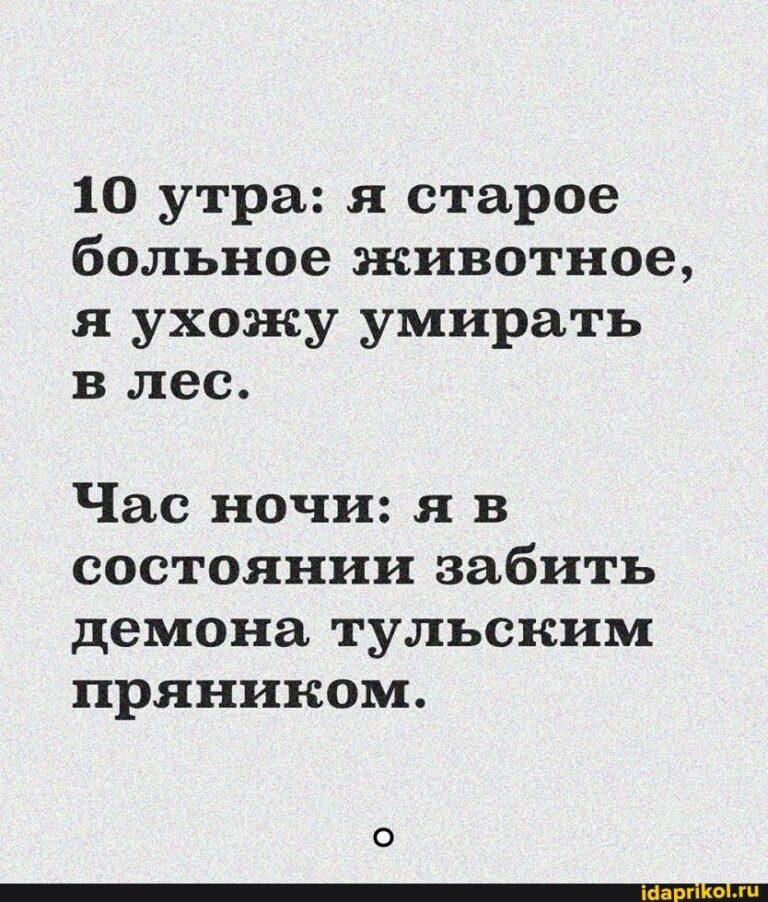 10 утра: я старое больное животное, я ухожу умирать Час ночи: яв состоянии забить демона тульским пряником. – АйДаПрикол