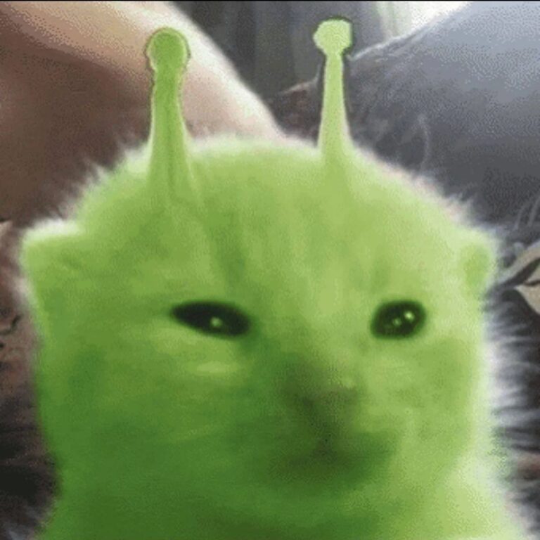 MY ZAZIINEZE PREZENTATION!