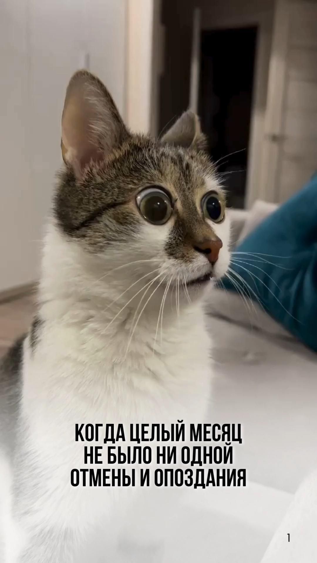 Магия массажа в мемах!  Заряжайся позитивом на рилс и сторис!