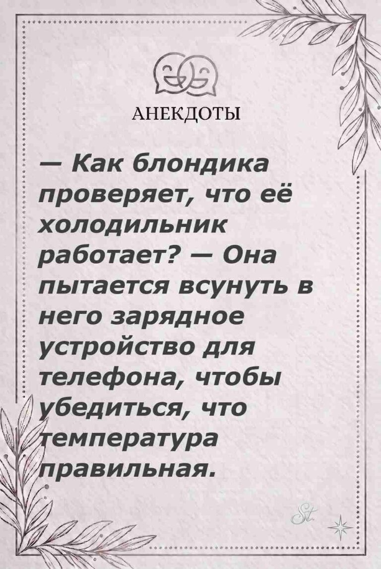 Ироничные мысли о женской логике и мудрости