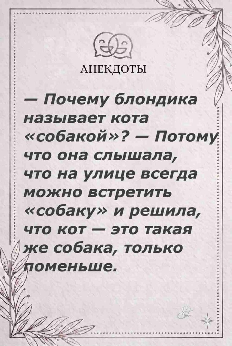 Ироничные мысли и женская логика