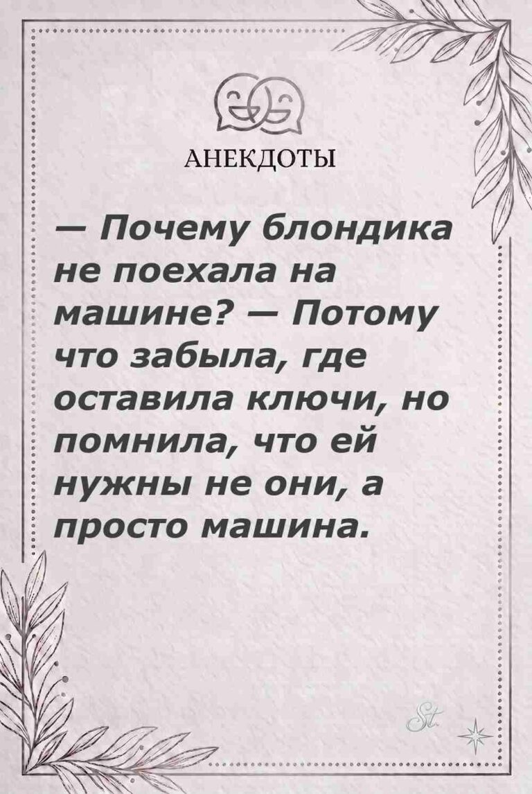 Ироничные мысли о женщинах и их логике